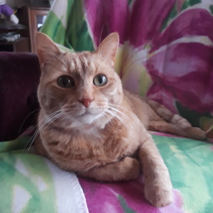 Fundraising Page: Marcia Mettert